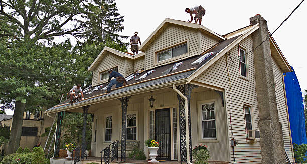 Best Roof Repair Services  in Royal City, WA